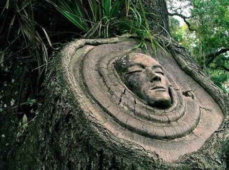tree_bound_installations_0111-729801